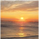 영덕해파랑펜션 | 영덕펜션 영덕 강구항을 즐기며 머물기 좋은 해파랑펜션 후기