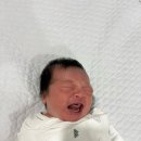 맘스프링산후조리원 이미지