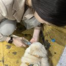 효진동물병원 이미지