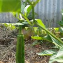 충남전세버스협동조합 이미지