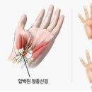 수앤테라피 이미지