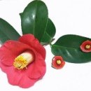 중사목장 이미지