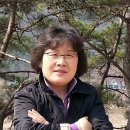 월하이태극문학관 이미지