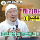 성모성월 특강 몽포르의 성루도비코 마리아의 삶과 영성 이미지