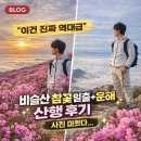운해 | 대구 비슬산 참꽃축제 일출 운해 산행 후기｜자연휴양림→참꽃군락지→유가사 코스 총정리