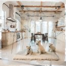 구리동물보호센터 이미지