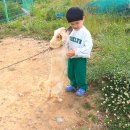 거제도펜션하늘아리펜션 | 거제도펜션 오션뷰와마운틴뷰까지 하늘아리펜션 단체룸 다녀왔어요