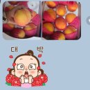 금봉농장 이미지