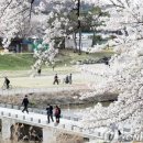 만개 푸드 네이버블로그