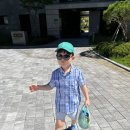 송림유치원 | 일상 기록 여름휴가 단양 소노벨 단양 맛집 송림식육식당 고수동굴 레전드히어로즈 오션플레이 단양구경...