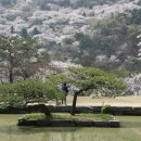 호암미술관 이미지