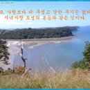 공짜 이미지