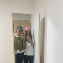 제주도 기생충