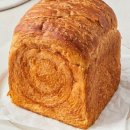 데일리팡 이미지