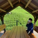 도레미 목장 | 도레미 서포터즈 2기) 하동/남해 팸투어 다녀왔어요🚌