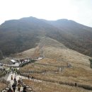 광명사슴농장 이미지