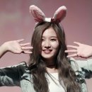 토끼사 이미지