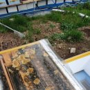 가리골농장 이미지