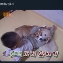 월 이미지