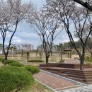 대구서구문화원 이미지