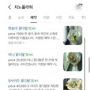 치노플라워
