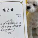 제제네멍치원(성내점) 이미지