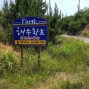 해송 농장 이미지