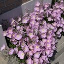남경상사 | [2026] 상반기 결산
