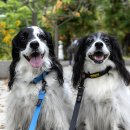 부천중앙공원 이미지