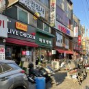 안양_수촌마을_카페인타코_타코야끼_문어튼실양념도맛있어!