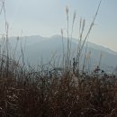 수정산 정상 이미지
