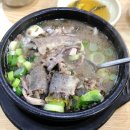 한스캣 | 2025년 지극히 주관적인 문화생활 결산