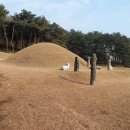 전사벌왕릉 이미지