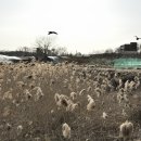 호수의오후 이미지