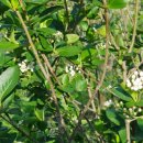 마루농장2 이미지