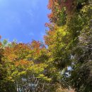 논산전문정비 | 논산아이와가볼만한곳 여름등산하기좋은산 노성산성 초보자등산코스