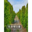 범일종합해양 | <부산 웨딩홀 추천> 동화웨딩홀 범일역 인근 편리한 접근성
