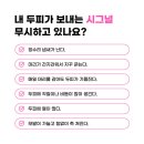 에이스아쿠아