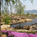 강나루 긴 언덕 이미지