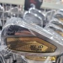 프라임골프클럽 | 용인 골프매장 젝시오 프라임 로얄 에디션 남자 아이언세트 시타 후기