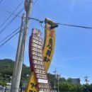 원조계룡한우정육점