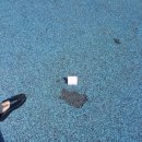 목포애향초등학교 이미지