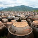 최진이 번역 일반행정사 사무소 이미지