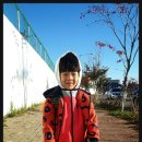 샘재유치원 이미지