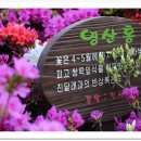 양지1공원 이미지