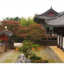 곡성 이미지