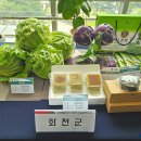 그녀의산약초 이미지
