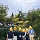 숏게임마스타 이미지