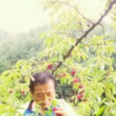 상남농장 이미지