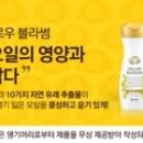 옐로우케어 이미지